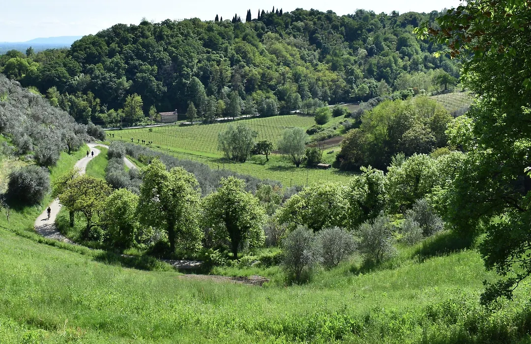 Villa Lovi-1